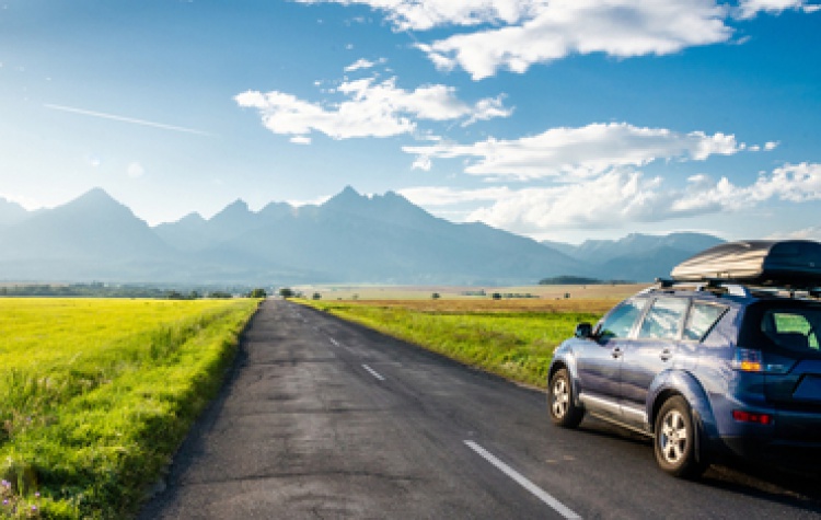 Bütçenize uygun trafik sigortası seçenekleri.